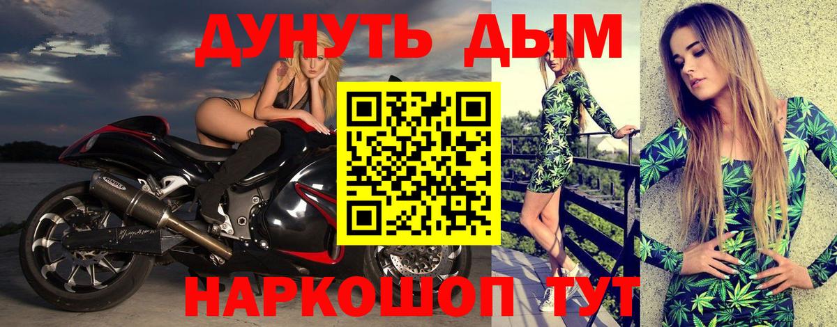 Бошки Шишки планчик Архангельск